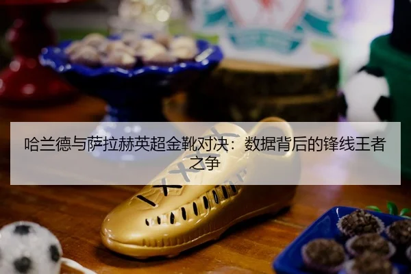 ha-lan-de-yu-sa-la-he-ying-chao-jin-xue-dui-jue-shu-ju-bei-hou-de-feng-xian-wang-zhe-zhi-zheng-2-453.jpg